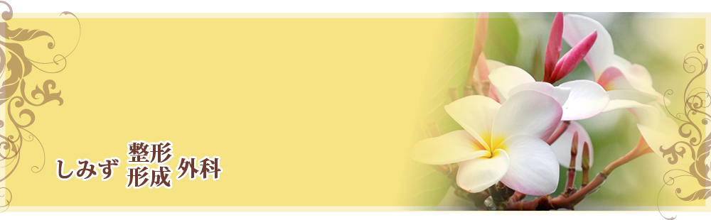 しみず整形・形成外科